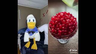 Donald Duck’s screams The full saga TikTok [upl. by Nylaj]