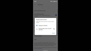 Pixel How to turn on Automatic call screening [upl. by Ferris]