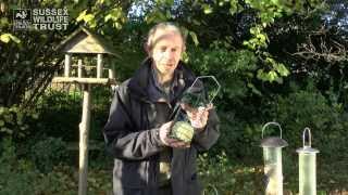 Bird Feeding Tips food and feeders [upl. by Euqcaj]