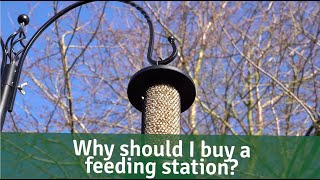 Bird Bites  Why should I buy a wild bird feedingdining station [upl. by Shorter]