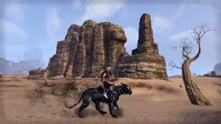 ESO Shadow Atronach Senche mount showcase [upl. by Hanae349]