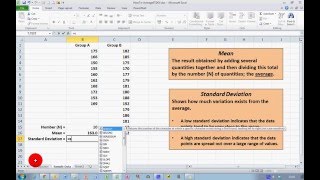 How To Calculate Mean and Standard Deviation in Excel 2010 [upl. by Nosila]