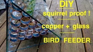 How to make ● a SQUIRREL PROOF Bird Feeder [upl. by Aihsekel]