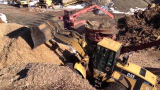 Stump Grinding with Morbark 1300 [upl. by Alena370]