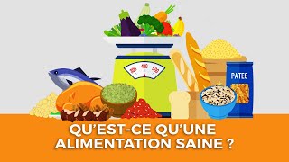 Questce quune alimentation saine [upl. by Anaillil728]