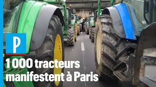 1 000 agriculteurs manifestent à Paris [upl. by Kcod]