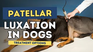 Patellar Luxation in Dogs  Causes Symptoms and Treatment Options [upl. by Victorine]