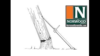 Tree Harvesting amp Log Handling Tools from Norwood Portable Sawmills [upl. by Egiedan520]