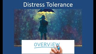 DBT  Distress Tolerance  Quick Overview of All Skills [upl. by Artemed]