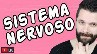 SISTEMA NERVOSO  FISIOLOGIA  Aula  Biologia com Samuel Cunha [upl. by Assiren]