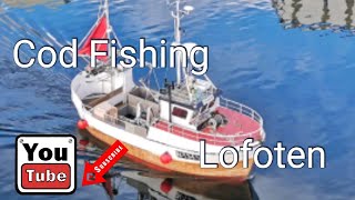 Cod Fishing Skreifiske vinter POV [upl. by Alekim]