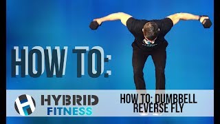 How to Dumbbell Reverse Fly [upl. by Tremaine]