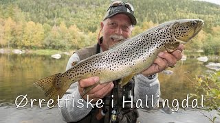 Ørretfiske i Hallingdal  2kgs ørret og en haug flotte pannefisk [upl. by Karlens]