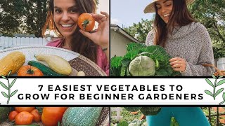 7 Easiest To Grow Vegetables For Beginners  Gardening 101 [upl. by Kathryn]