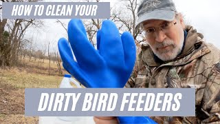 How to clean your dirty bird feeders [upl. by Novonod]