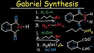 Gabriel Synthesis Reaction Mechanism  Alkyl Halide to Primary Amine [upl. by Eiclehc]