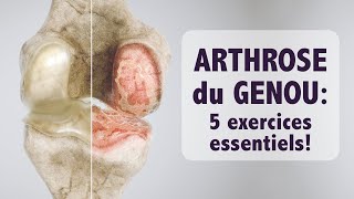 Arthrose du genou 5 exercices ESSENTIELS [upl. by Scarlett]