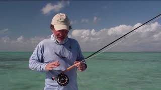 Inshore Saltwater Fly Fishing  How To [upl. by Zerdna722]