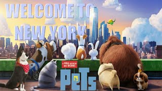 PETS  Welcome to New York  Taylor Swift  Video Musical [upl. by Whitcomb163]