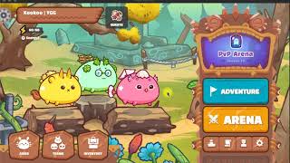 Axie Infinity Basic Battle Guide [upl. by Daryle558]