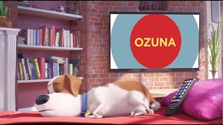 Ozuna – It’s Gonna Be A Lovely Day The Secret Life of Pets 2 Remix Lyric Video [upl. by Lapides]