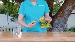 How to use the RESCUE Disposable Fly Trap [upl. by Aitas]