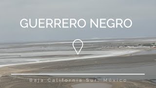 E8  Guerrero Negro Baja California Sur  Baja Trip 2022  4K [upl. by Otrevogir518]