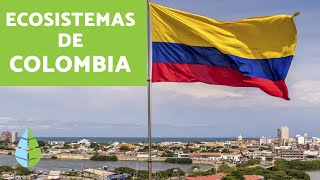 ¿Cuáles son los ECOSISTEMAS de COLOMBIA [upl. by Liw]