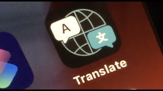 How to use Translate on iPhone iOS 14 [upl. by Eiduam815]