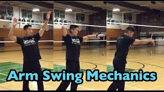 Arm Swing Mechanics  3 Motions part 12  How to SPIKE a Volleyball Tutorial [upl. by Cleland]