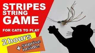 Cat Games 2 Hours Surprise Inside [upl. by Nilok]