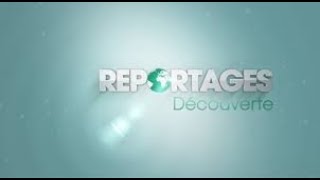 Evolution des génériques de Reportages Découverte [upl. by Minny785]