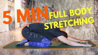 5 Dakikada Esnetme Hareketleri  5 Minute Full Body Stretching Routine [upl. by Winnick]