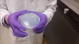 Preparation of a Sol Gel [upl. by Camala]