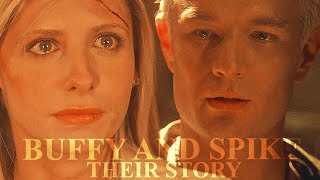 Buffy and Spike  Their Story [upl. by Melitta147]