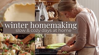 A Winter Homemaking Day  Cozy Cooking amp Seed Starting [upl. by Nohtanhoj]