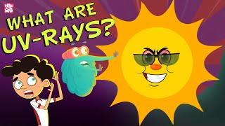 ULTRAVIOLET RAYS  How Harmful Are UV Rays  Ultraviolet Radiation  Dr Binocs Show  Peekaboo Kidz [upl. by Nash]