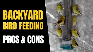 The PROS amp CONS of Backyard BIRD Feeding [upl. by Flight]