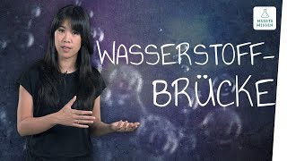 Was sind Wasserstoffbrückenbindungen I musstewissen Chemie [upl. by Katherin15]