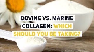 Bovine vs Marine Collagen Which Should YOU be Taking [upl. by Macri]