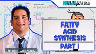 Metabolism  Fatty Acid Synthesis Part 1 [upl. by Hgiellek]