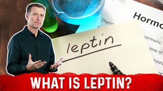 What is Leptin Explained By DrBerg [upl. by Crescen]