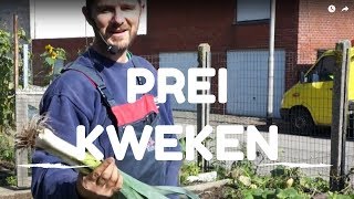 Prei kweken van zaaien tot oogsten [upl. by Ime]