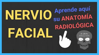 NERVIO FACIAL🤔 anatomía TACRM [upl. by Vedis]