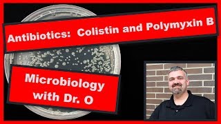 Colistin and Polymyxin B Microbiology [upl. by Hurley]