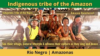 Brazil Travel  Indigenous tribe of the Amazon [upl. by Earezed]