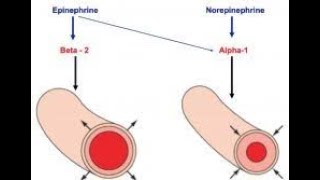 10 Surprising Triggers Of Your Headaches  Dr Mike [upl. by Onej]