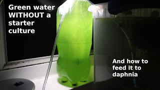 Green Water WITHOUT a Starter Culture  From Scratch  How To [upl. by Naid]