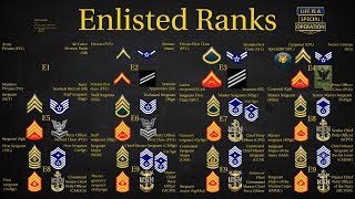 US Military All Branches ENLISTED Ranks Explained [upl. by Cristabel46]