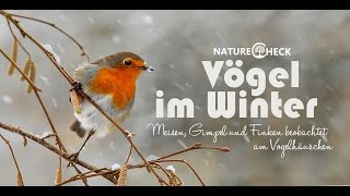 Vögel im Winter  Futterhäuschen und Meisenknödel [upl. by Marteena]